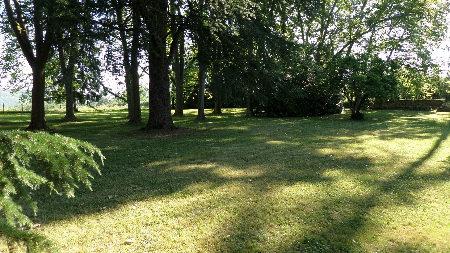 Allée de platanes, Est, orientation Nord